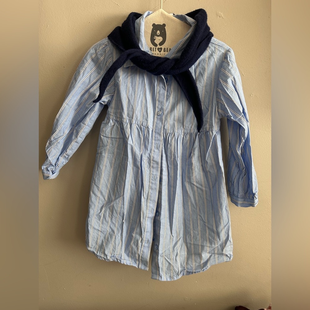 Zara striped shirt dress